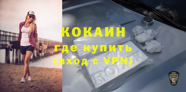 мяу мяу мука Арсеньев