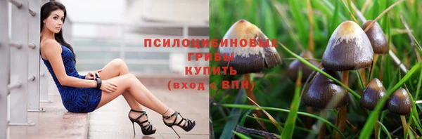 мяу мяу мука Арсеньев