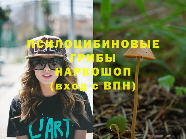 мяу мяу мука Арсеньев