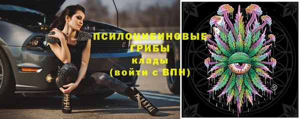 стафф Аркадак