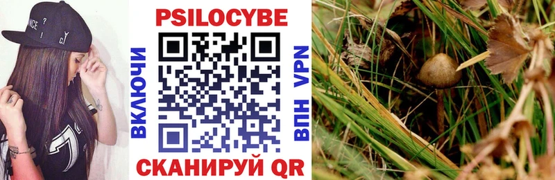 Галлюциногенные грибы ЛСД  Купить  Новохопёрск 
